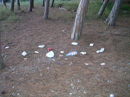 Brutícia a la pineda de Gavà Mar