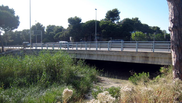 Pont de poca alada de l'autovia de Castelldefels (C-31) sobre la Riera dels Canyars a Gav Mar (17 de Juny de 2009)
