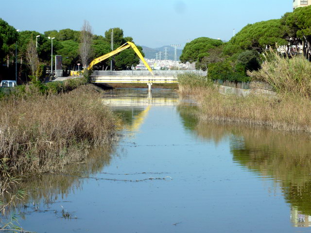 Mquina realitzant una neteja agressiva a la Riera dels Canyars de Gavà Mar (24 de Novembre de 2011)