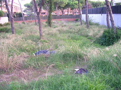 Pineda no edificada enmig de Central Mar sense tancament