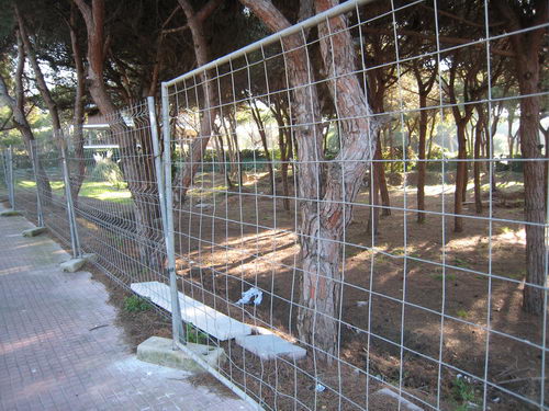 Pineda situada al carrer Cunit de Gav Mar no urbanitzada tancada, podada i netejada (Gener de 2008)