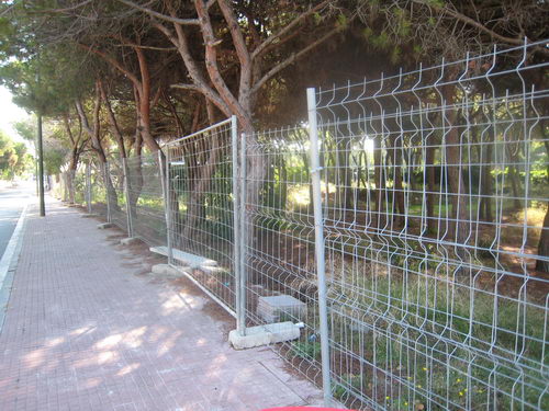 Pineda situada al carrer Cunit de Gav Mar no urbanitzada tancada, per no podada ni netejada (Finals de l'any 2007)