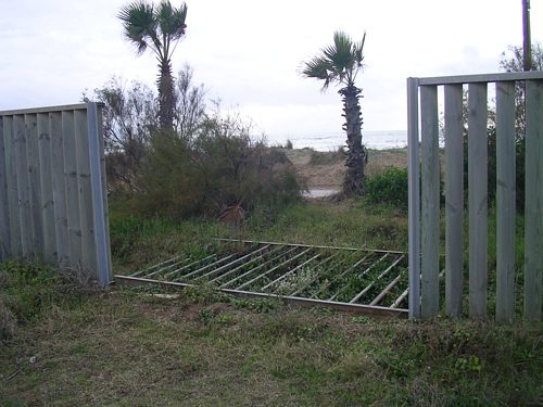 Tanca trencada de la parcel·la municipal a Gavà Mar on s'ha de construir l'Escola Gav Mar (vista des de dins de la parcel·la) (Any 2006)
