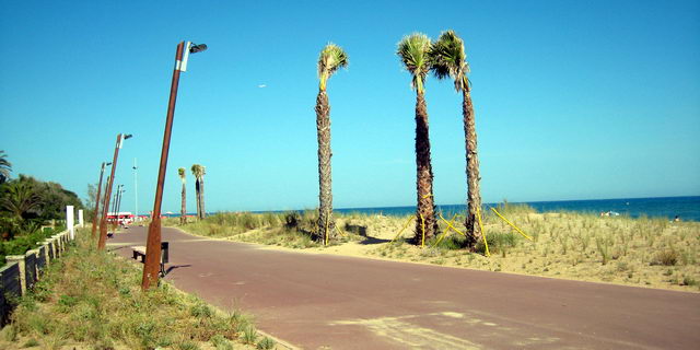 Nuevo tramo del paseo martimo de Gav Mar con las plantas de las dunas sin fijaciones despus de una actuacin del Ayuntamiento de Gav (17 de Junio de 2009)