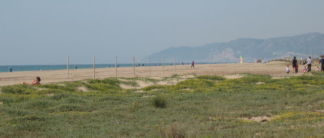Pals per posar xarxes de volei-platja a la platja Gavà Mar entre la riera dels Canyars i el terme municipal de Castelldefels (4 d'Abril de 2009)
