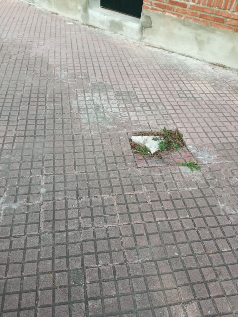 Vorera on falten rajoles al carrer d'Arenys de Gavà Mar (20 de Febrer de 2018)