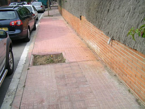 Forat on queda pendent plantar un nou arbre (Carrer Cunit)