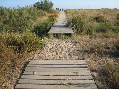Falta un tramo en la pasarela de madera que sirve de acceso a la playa de Gavà Mar delante de la nueva pista de skate (Junio 2007)