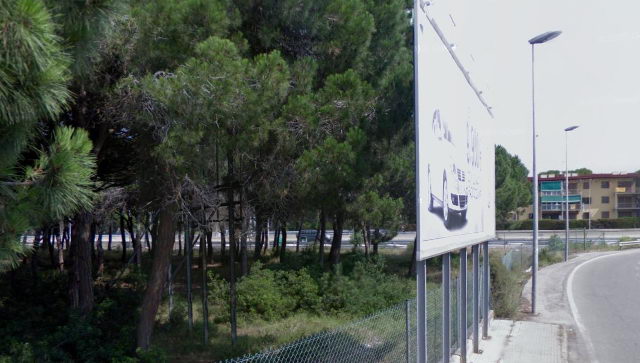 Ferros rovellats a la pineda de Gavà Mar d'un cartell publicitari abandonat (Juny de 2008)