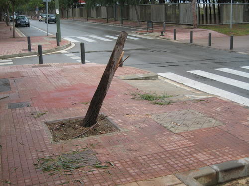 Imatge de la cantonada del carrer Tellinaires amb el carrer Amposta de Gavà Mar (al costat del Centre Cívic de Gavà Mar) on es pot apreciar com hi ha un arbre talat (desembre de 2007)