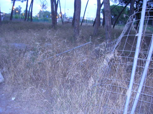 Tanca trencada a la pineda que hi ha al costat del Tennis Pineda de Gavà Mar