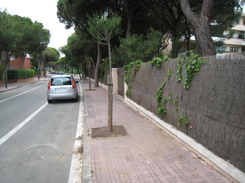 Árboles repuestos en la calle Cunit de Gavà Mar (entre la avenida del mar y la calle Garraf) (17 de Mayo de 2008)