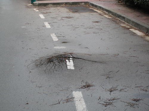 Asfalto de la calle Calafell de Gavà Mar levantado por las raíces de los árboles (26 de diciembre de 2007)