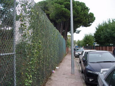 Plantas que ocupaban el espacio de los peatones podadas en el Camí de la Pava de Gavà Mar (4 de noviembre de 2008)