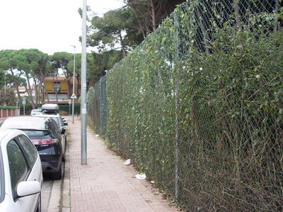 Plantes que envaien l'espai dels vianants podades al Camí de la Pava de Gavà Mar (4 de novembre de 2008)