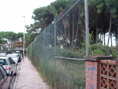 Plantes que envaien l'espai dels vianants podades al Camí de la Pava de Gavà Mar (4 de novembre de 2008)