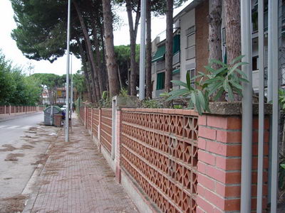 Plantes que envaien l'espai dels vianants podades al Camí de la Pava de Gavà Mar (4 de novembre de 2008)