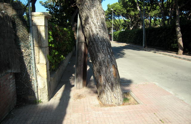Pal de telèfons situat enmig d'una vorera del carrer Cunit de Gavà Mar impedint el pas dels vianants (3 de Juny de 2009)