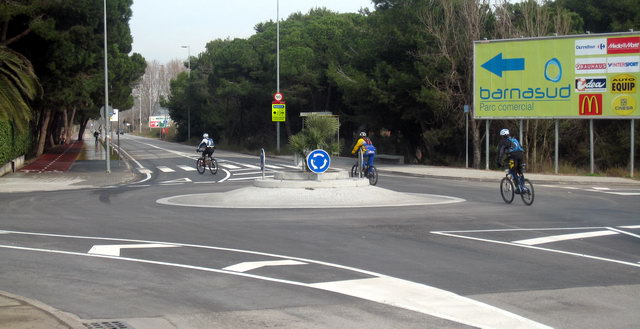 Nova palmera platanda en la petita rotonda ubicada a l'encreuament de l'avinguda del mar amb el Cam de la Pineda de Gav Mar en substituci de la que va ser destrossada en un accident de trnsit el gener de 2009 (23 de Gener de 2010)