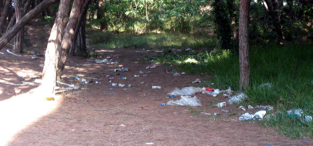 Suciedad en la pineda contigua a la Torre Gav de Gav Mar (17 de Junio de 2009)