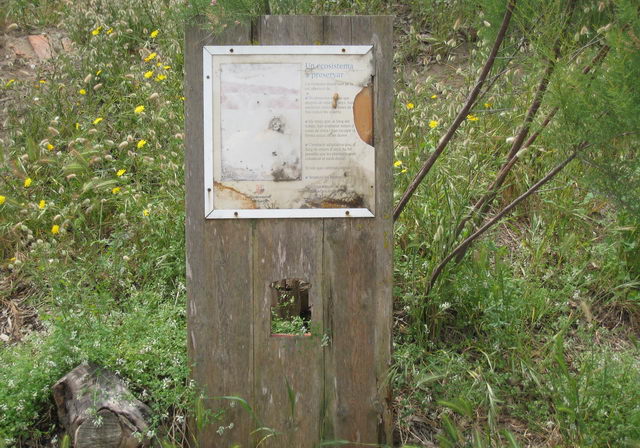 Cartell informatiu de les dunes de la platja de Gav Mar en estat lamentable (17 de Maig de 2009)