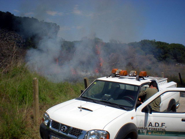 Incendi a la pineda de Gav Mar (22 de Maig de 2010)