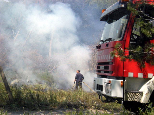 Incendi a la pineda de Gav Mar (22 de Maig de 2010)