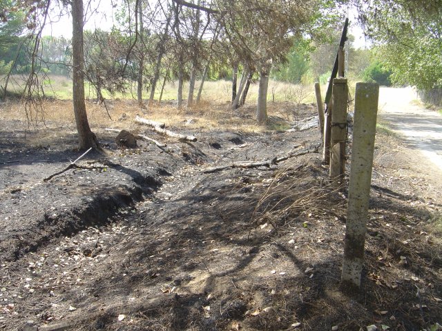 Restes del petit incendi que hi ha hagut al costat del Cam de la Pineda de Gav Mar (31 d'Agost de 2010)