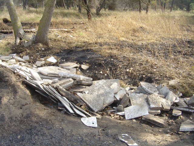 Restes del petit incendi que hi ha hagut al costat del Cam de la Pineda de Gav Mar (31 d'Agost de 2010)