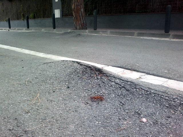 Imatge de l'asfalt aixecat per les arrels dels pins al carrer d'Amposta de Gav Mar (8 Octubre 2012)
