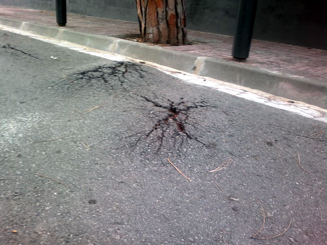 Imatge de l'asfalt aixecat per les arrels dels pins al carrer d'Amposta de Gav Mar (8 Octubre 2012)