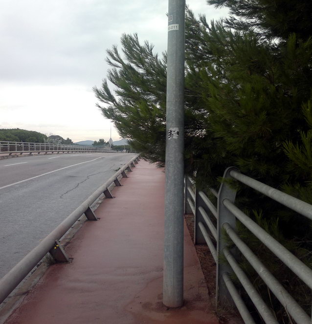 Branca d'un pi que impedeix el correcte pas dels vianants en el pont de l'avinguda del mar sobre l'autovia C-31 (11 d'Octubre de 2012)