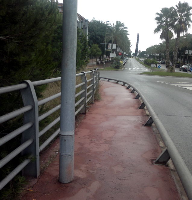 Branca podada d'un pi que impedia el correcte pas dels vianants en el pont de l'avinguda del mar sobre l'autovia C-31 (25 d'Octubre de 2012)