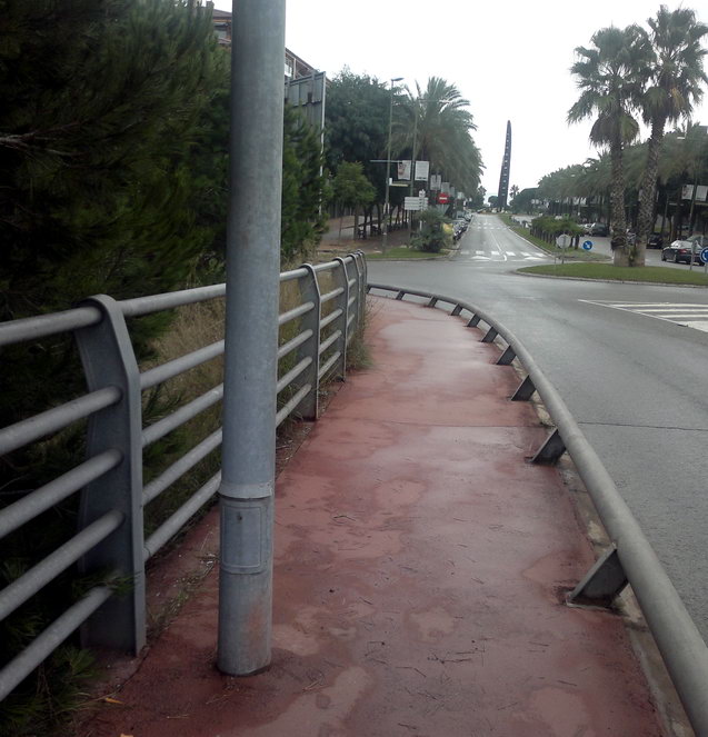 Rama podada de un pino que impeda el correcto paso de los peatones en el puente de la avenida del mar sobre la autova C-31 (25 de Octubre de 2012)