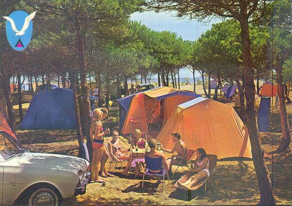 (1966) Campistas, pineda joven y playa al fondo