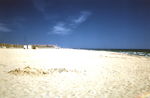 Tanca del càmping fent de barrera d'accès a la platja (al fons, els apartaments EL TORREON)