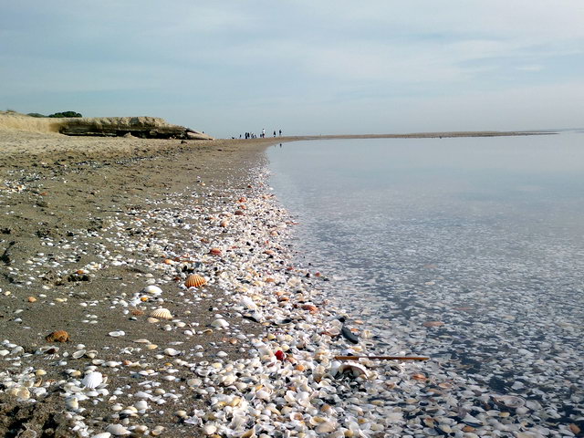 Imatge de la petita llacuna que s'ha format a la zona de la platja de Gav Mar afectada per dues regressions consecutives. Al fons es veu la llosa de formig que ha aparegut de sota la sorra (9 de Desembre de 2011)