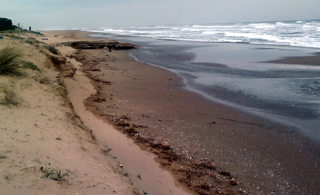 Imagen de la zona de la playa de Gav Mar afectada por dos regresiones consecutivas donde la recuperacin de la playa no se acaba de consolidar (16 de Diciembre de 2011)