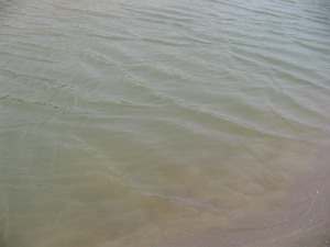 Agua putrefacta en la playa de Gavà Mar (Junio de 2006)